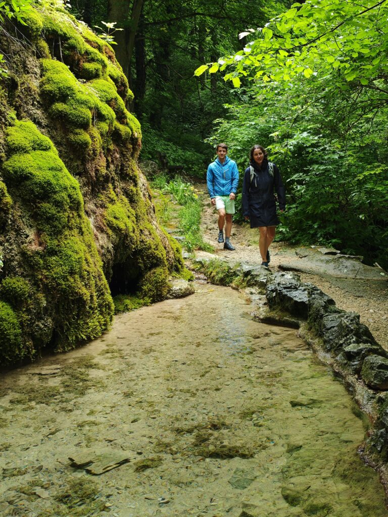 Ideal für eine Pause bei der Gütersteiner Wasserfall Wanderung