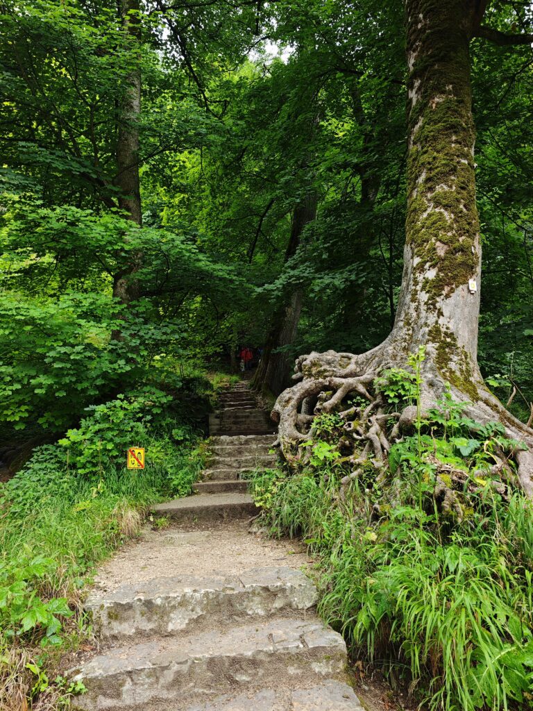 Uracher Wasserfall Wanderung